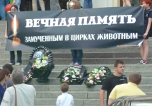 Ov63AfioIlU