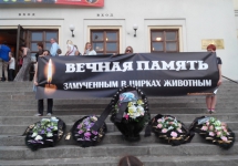 q6BoJbALQNI