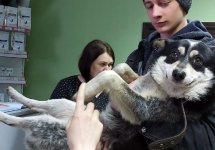 б7