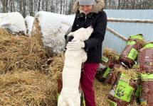 photo_2022-11-27_20-29-04