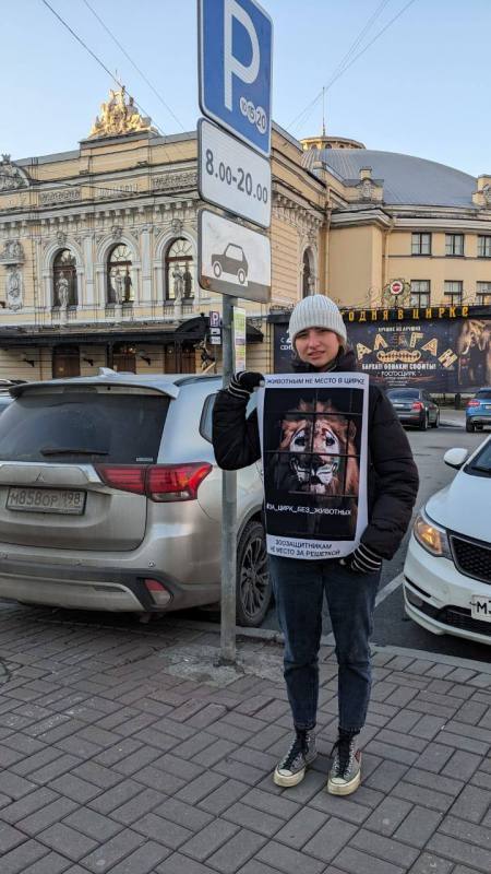 пикет-питер-2