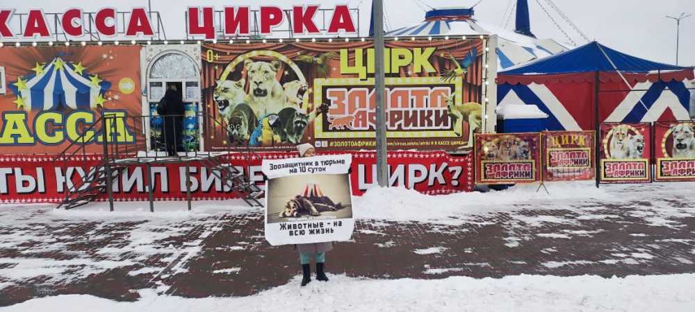 саранск-пикет1