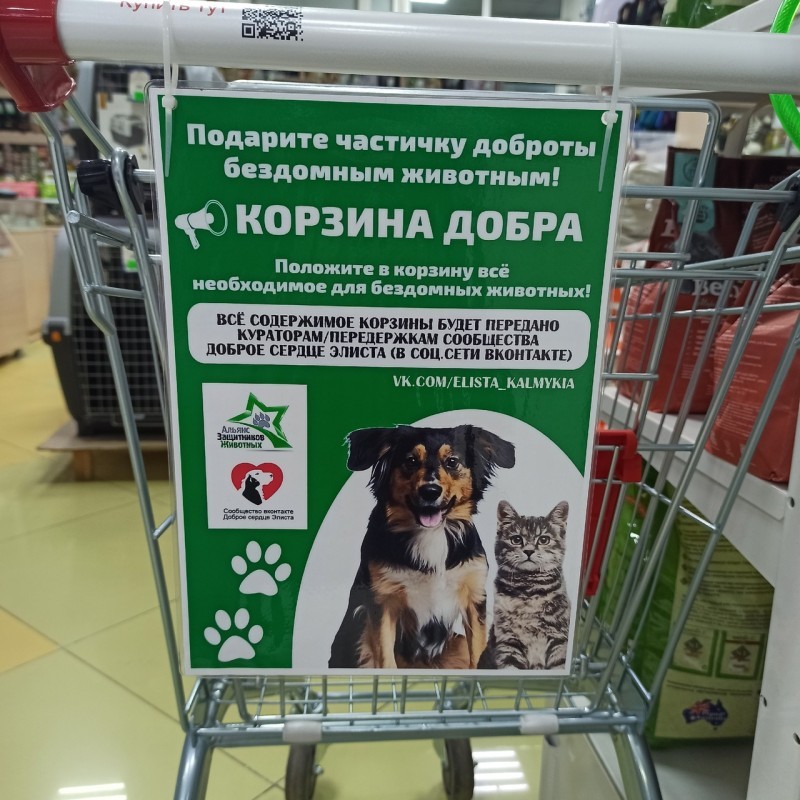 Элиста