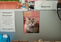 8YW-fAcsuZs