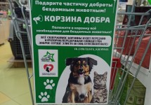 Элиста