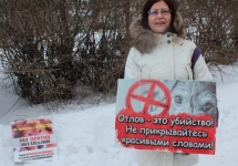 Халина за гуманный отлов