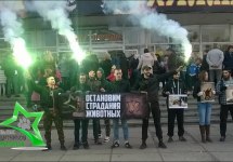 Цирк-без-животных-КР-01.11.15