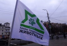 cSueD09_Qag