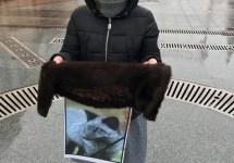 rpAsajdibdA