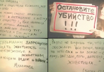 tUl-Ub6nHS8.jpg