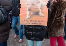 rvVhiuIDOa0