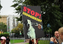 40-jpg