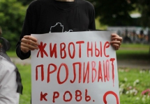 53-jpg