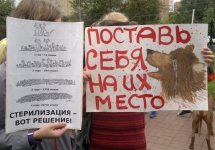 95-jpg
