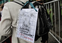 97-jpg