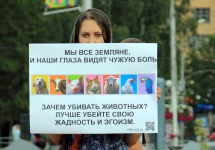 i_shwojekq4