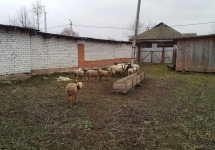 7692ZUl0ASU - копия - копия - копия