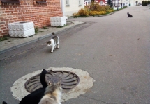 -eskI4M43Jk - копия - копия - копия