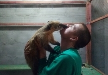 QZrfdIs8xtk