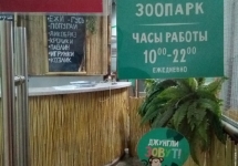 xUJDLuTf2a8