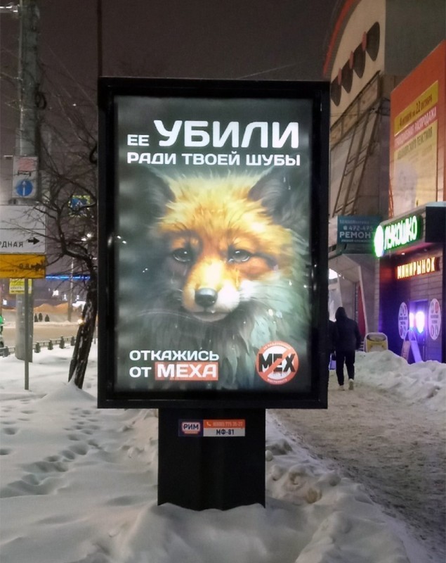 Антимех