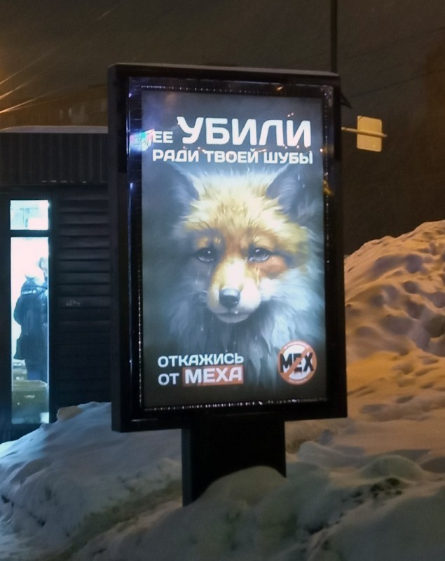 Антимех2