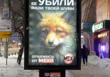 Антимех
