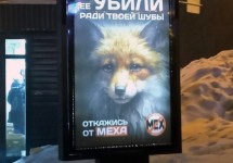 Антимех2