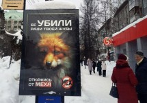 Ижевск-февраль-март