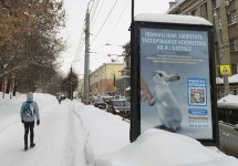 Ижевск-1_1