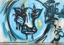 70