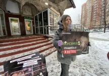Мытищи-2
