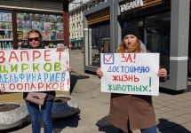 VBJYhT29XxE